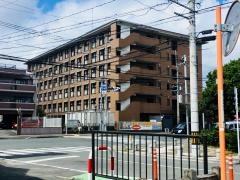 野多目