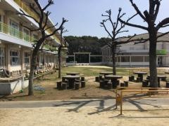 天の原小学校