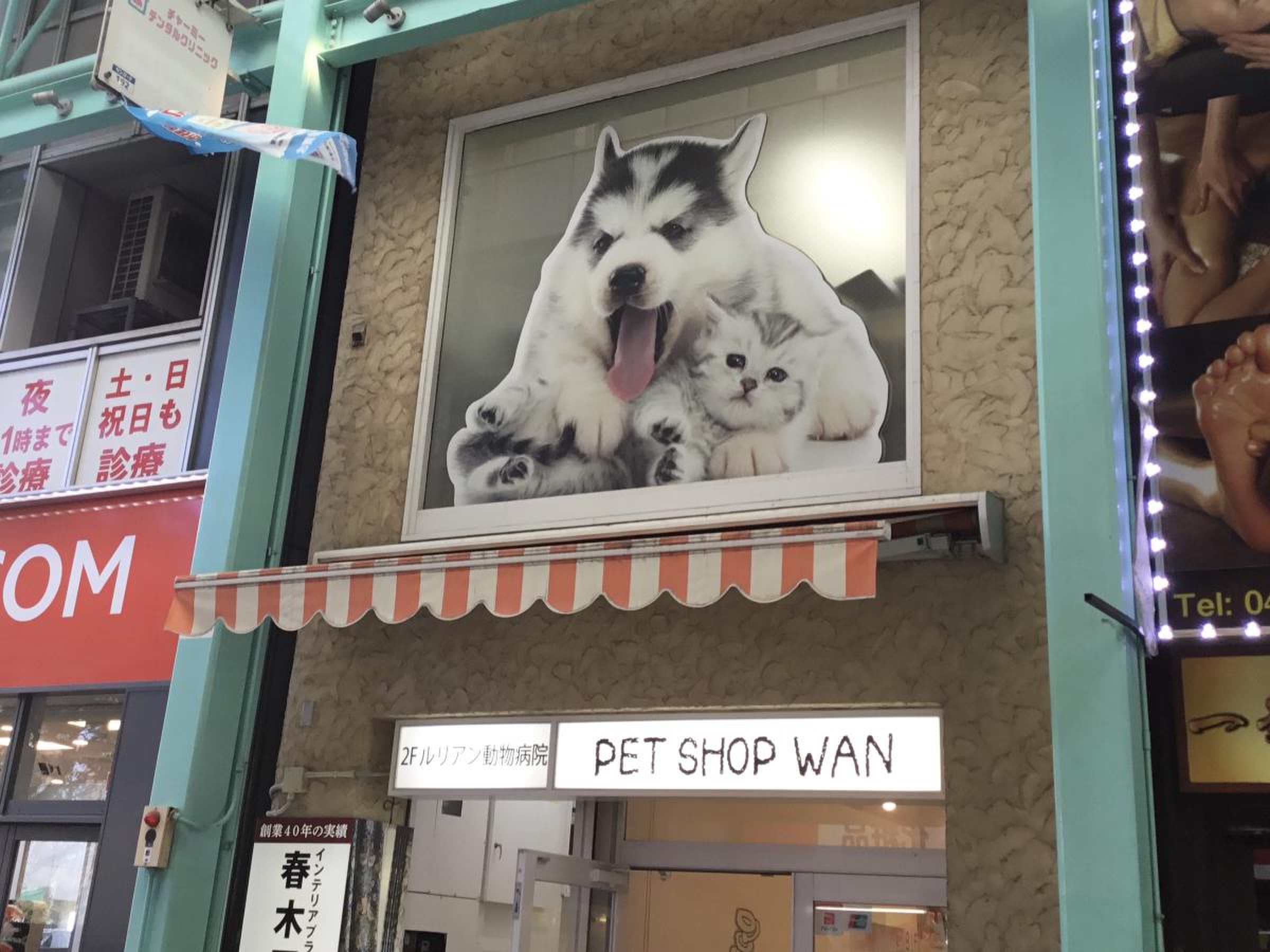 ペット ショップ wan 吉祥寺 店