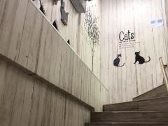 ペットスーパーＷＡＮ　吉祥寺店