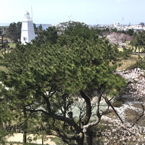 投稿写真3