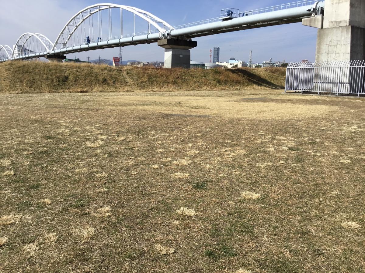 大和田運動公園