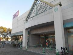 イオン　桜井店