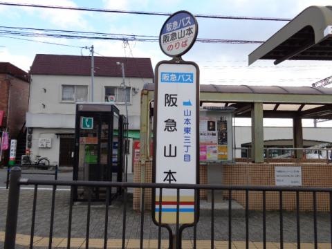 投稿写真7