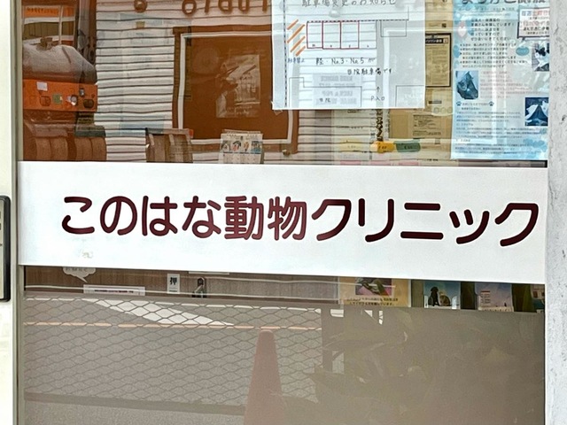 投稿写真1