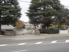 柏第五小学校