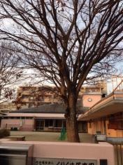くりくま保育園