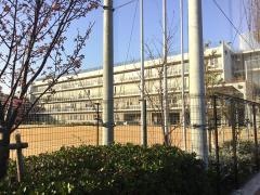 南甲子園小学校