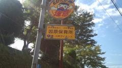 因原保育所