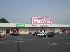 マックスバリュ　南岩国店