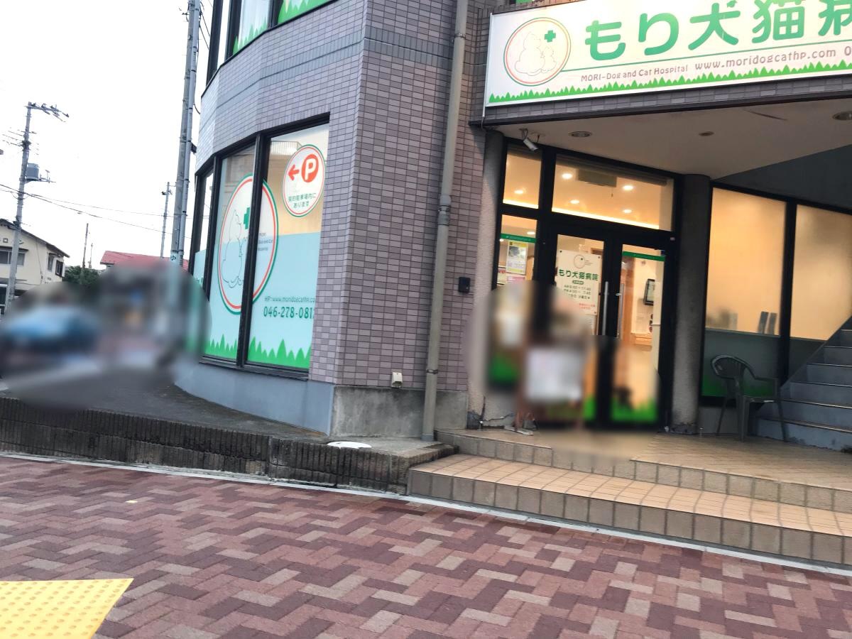 エントランス周り