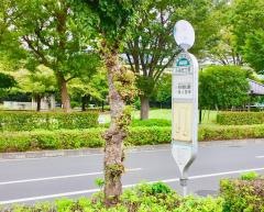 「入谷五丁目」バス停留所