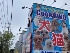 ペットショップＣｏｏ&ＲＩＫＵ　横浜港南台店