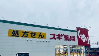 スギ薬局　柏森駅南店