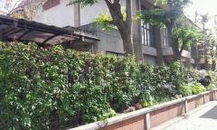 鳳徳小学校