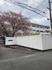 中原小学校