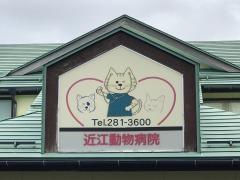 近江動物病院