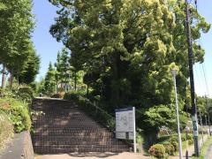 静岡大学大学院