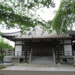 金仙寺