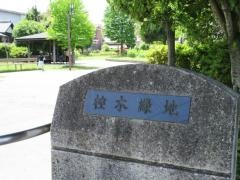 椌木緑地