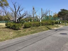 堤下公園