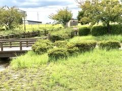 的場古池公園