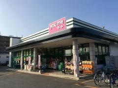ゆめマート　近見店