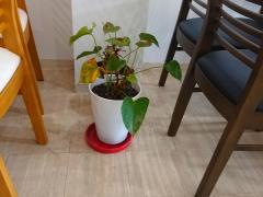 喫茶ドビー