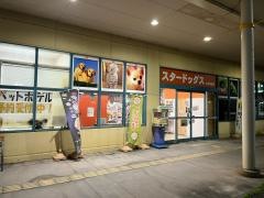 スタードッグス