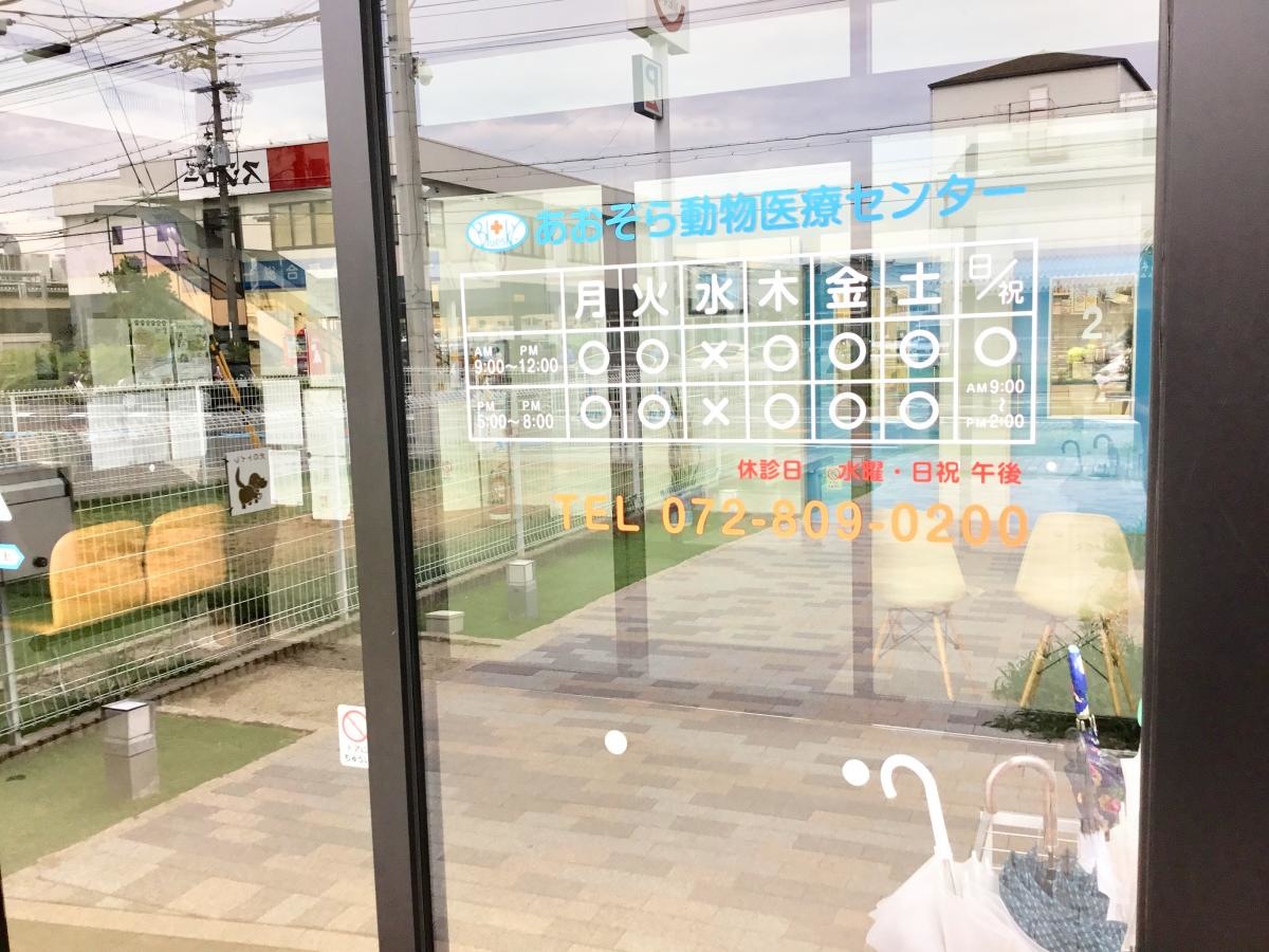 あおぞら動物病院