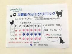オリンピック大倉山店動物病院
