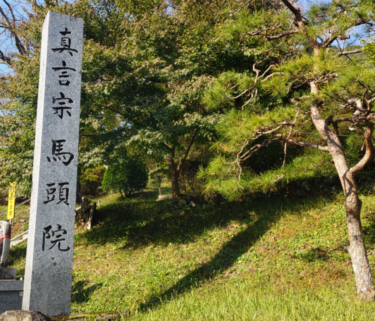馬頭院