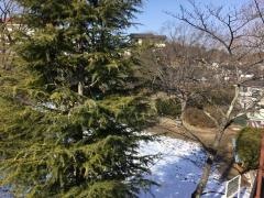国見ケ丘五丁目1号緑地