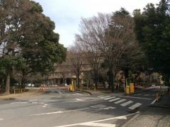 千葉大学　亥鼻キャンパス