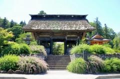 津金寺