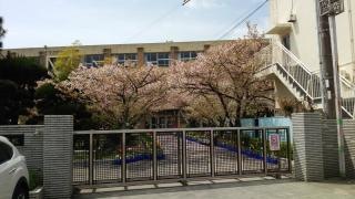 雑賀小学校