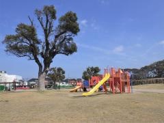 芦屋中央公園