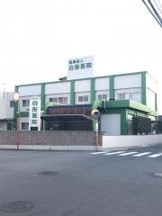 白形医院