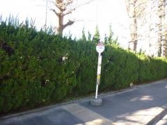 「不入斗中学」バス停留所