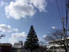 ちぐさ幼稚園
