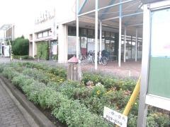 マルフジ羽村店