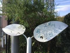 上星川あおぞら公園