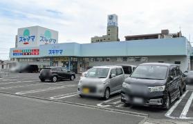 ドラッグスギヤマ城東店