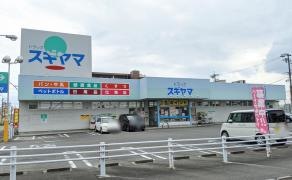 ドラッグスギヤマ城東店