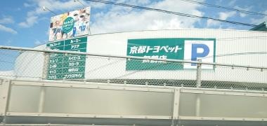 京都トヨペット舞鶴店
