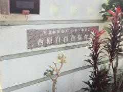 西原白百合保育園
