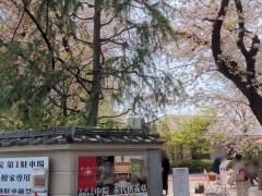 「中院」バス停留所