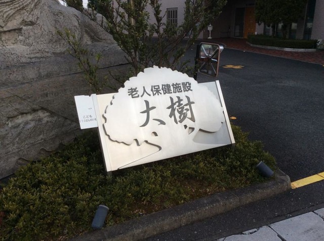 大樹