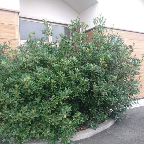 はなんばの里