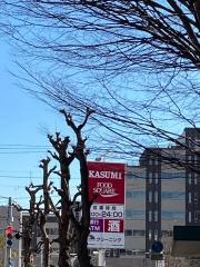 カスミフードスクエア　高根台店
